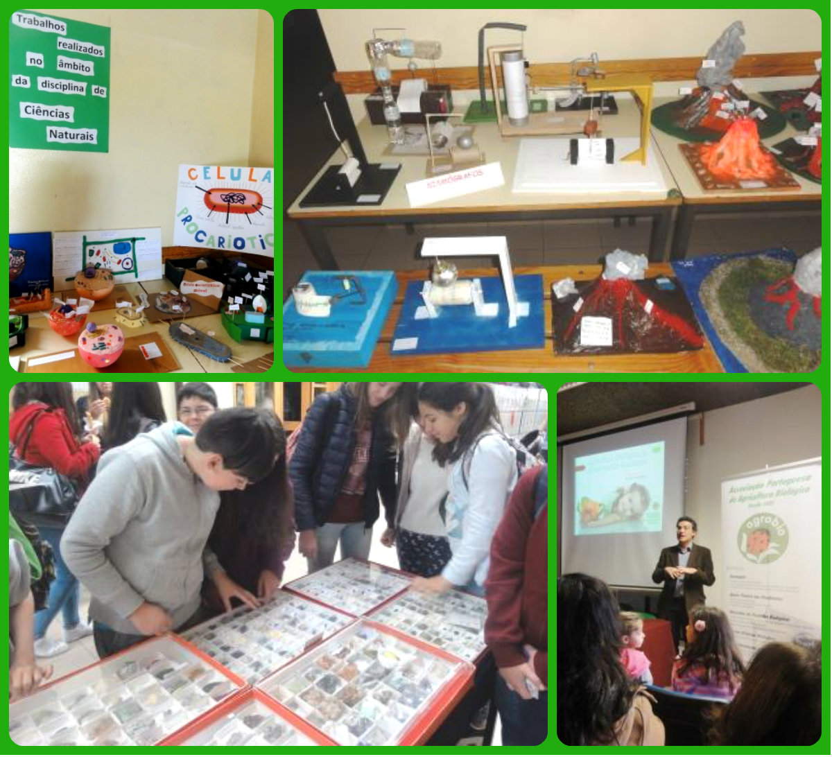 colagem ciencias